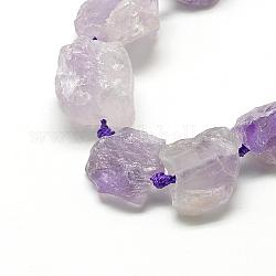 Natural Amethyst Beads Strands, Nuggets, 10~27x17~33x17~33mm, Hole: 2~2.5mm, about 12~15pcs/strand, 15.7 inch