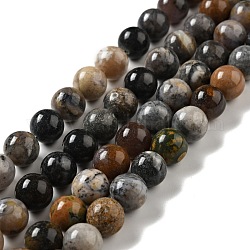 Chapelets de perles de jaspe dendritique naturelle, ronde, 10mm, Trou: 1mm, Environ 36~38 pcs/chapelet, 14.17~14.96 pouce (36~38 cm)