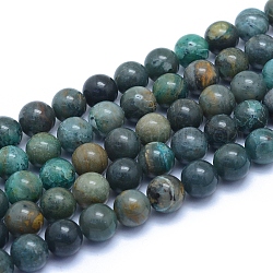 Chapelets de perles en chrysocolle naturelle, ronde, 8~8.5mm, Trou: 0.8mm, Environ 50 pcs/chapelet, 15.55 pouce (39.5 cm)