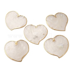 Grandes colgantes de concha de capiz natural, dijes de corazón con borde de latón dorado, día de San Valentín, blanco, 55~55.5x58.5~60x1mm, agujero: 1.6 mm