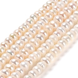 Fili di perle di perle d'acqua dolce coltivate naturali, rondelle, grado 6 un, beige, 4.5~5x3~4.5mm, Foro: 0.7 mm, circa 124pcs/filo, 14.65 pollice (37.2 cm)
