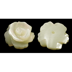 Shell perle naturali, mezzo forato, roso, bianco, circa10 mm di diametro, Foro: 1 mm