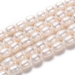 Fili di perle di perle d'acqua dolce coltivate naturali, riso, bisque, 10~11x8~9mm, Foro: 0.8 mm, circa 35pcs/filo, 13.78 pollice (35 cm)