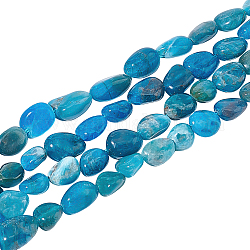Nbeads 2 Strands Natural Apatite Beads Strands, Oval, 5~15x4~10x2~6mm, Hole: 1mm, about 40~60pcs/strand, 15.7''(39.88cm)