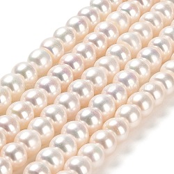 Natural Cultured Freshwater Pearl Beads Strands, Grade 4A++, Rondelle, Linen, 8~9x6~7mm, Hole: 1mm, about 55pcs/strand, 15.75''(40cm)