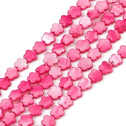 Fili di perline tinti in conchiglia naturale d'acqua dolce, fiore, rosa intenso, 8x8.5x3mm, Foro: 0.6 mm, circa 49pcs/filo, 15.35'' (39 cm)