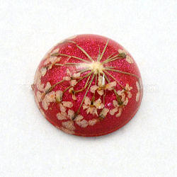 Cabochons in resina, cupola, mezzo tondo, con fiori secchi all'interno, rosso ciliegia, 11.5~12x6~6.5mm