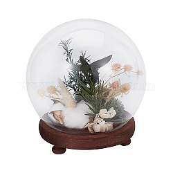 Glass Dome Cover, Ball-Shaped Handle Decorative Display Case, Cloche Bell Jar Terrarium with Wood Base, Coconut Brown, Finish Product:150x160mm