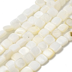 Eau douce naturelle de coquillage perles brins, carrée, fantôme blanc, 6~6.5x5.5~6x2.5~3mm, Trou: 0.8mm, Environ 61~62 pcs/chapelet, 14.17~14.49 pouce (36~36.8 cm)