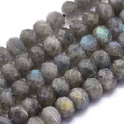 Natural Labradorite Beads Strands, Rondelle, Faceted, 7~7.5x5.5~6mm, Hole: 1mm, about 69pcs/strand, 15.7 inch(40cm)