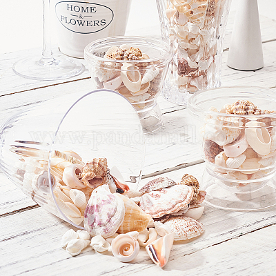 Смешанные бусины из ракушек&nbsp;BSHE-PH0003-20-1