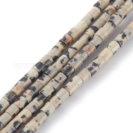 Chapelets de perles en jaspe dalmatien naturelle G-H255-10-1