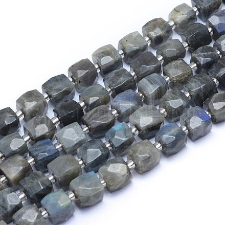 Natural Labradorite Beads Strands G-L552D-18-1