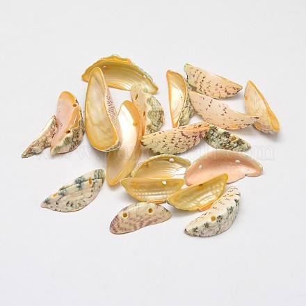 Perles demi-lune en coquillage naturel teint BSHE-O007-33B-1