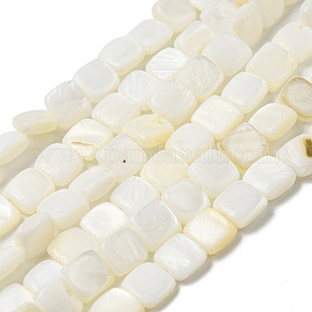 Eau douce naturelle de coquillage perles brins SHEL-C005-05-1