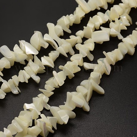 Puce spirale naturelle perles de coquillage brins SHEL-E355-04-1