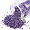 MIYUKI Delica Beads, Cylinder, Japanese Seed Beads, 11/0, (DB2509)Duracoat Galvanized Dark Lilac, 1.3x1.6mm, Hole: 0.8mm, about 2000pcs/10g