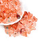 Transparent Acrylic Beads, Nuggets, Two Tone, Coral, 11~21x7~12x6~8mm, Hole: 2mm, about 30pcs/20g