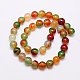 Natural Peacock Agate Beads Strands G-G444-18mm-02-2