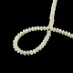 Rondelle naturelle trochid shell / trochus shell perles de brins SSHEL-F290-29-2