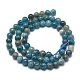 Natural Apatite Beads Strands G-I254-08B-2