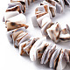 Natural Tiger Cowrie Shell Bead Strands SSHEL-N304-103-3