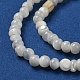 Brins de perles de coquillages naturels de troca SSHEL-H072-13B-3