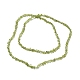 Chapelets de perles en péridot naturel G-E607-A06-2