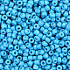 Baking Paint Glass Seed Beads SEED-S001-K10-2