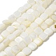 Eau douce naturelle de coquillage perles brins SHEL-C005-05-1