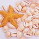 1 Box ovale Kaurimuschel Perlen mit Löchern für Handwerk 13-17mm Länge BSHE-PH0001-05-3