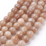 Natürliche sunstone Perlen Stränge, Runde, 10 mm, Bohrung: 1 mm, ca. 19 Stk. / Strang, 7.8 Zoll