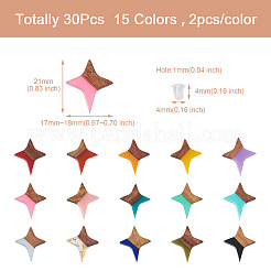 30 шт. серьги-гвоздики в форме звезды из орехового дерева 15 цветов&nbsp;EJEW-FW0001-02