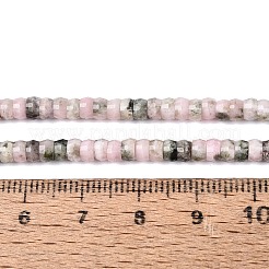 Perline Rhodonite naturale fili&nbsp;G-Q606-46A-15
