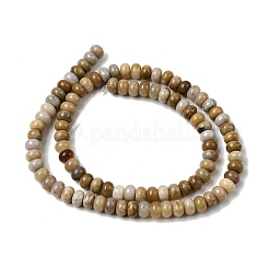 Природные окаменелые коралловые бусы пряди&nbsp;G-A280-A08-01