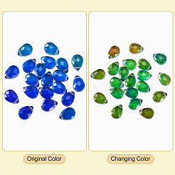 Glas Anhänger / charms&nbsp;GLAA-TAC0012-28A