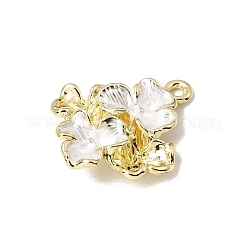 Pendentifs d'émail en alliage&nbsp;FIND-E062-03G-A