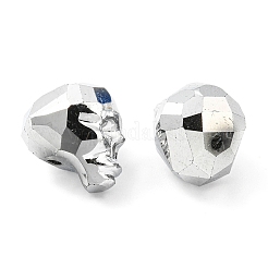 Micropiastra di vetro&nbsp;EGLA-A006-01A