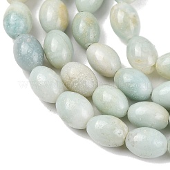 Натуральный цветок амазонитовые бусины пряди&nbsp;G-K362-I10-02
