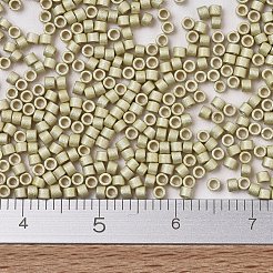 Miyuki Delica Perlen&nbsp;SEED-JP0008-DB1831F