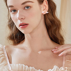 5 пара 5-х цветных гипоаллергенных биокерамических сережек-гвоздиков из циркониевой керамики для чувствительных ушей&nbsp;EJEW-BBC0001-42A