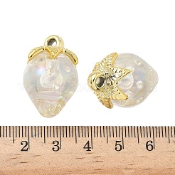 Прозрачные акриловые подвески&nbsp;LS-OACR-I021-02C