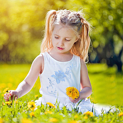 2 шт. пион компьютерная вышивка ткань приклеиваемые/пришивные нашивки&nbsp;DIY-GF0005-32A