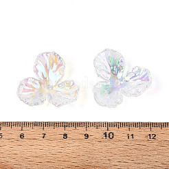 Акриловые колпачки для бусин с УФ-покрытием и радужным покрытием&nbsp;OACR-N158-01