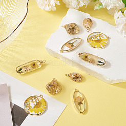 10шт 5 стиля подвески из эпоксидной смолы&nbsp;FIND-TA0008-97