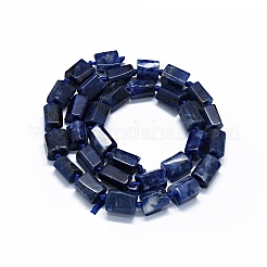 Perline sodalite naturale fili&nbsp;G-O170-101