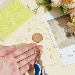 500шт прозрачные акриловые подвески&nbsp;TACR-ME0001-02B