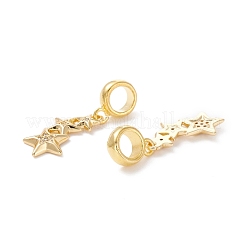 Charms pendenti europei in ottone con zirconi cubici&nbsp;KK-B037-21G