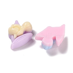 Cabochons di opaco resina&nbsp;RESI-K027-33J