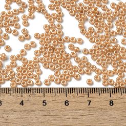 Выпечка краска стеклянные бусины&nbsp;SEED-P006-03A-24